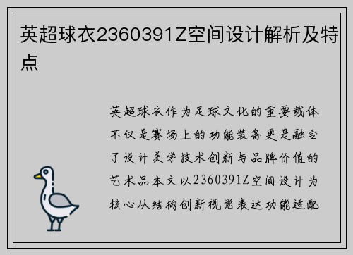 英超球衣2360391Z空间设计解析及特点